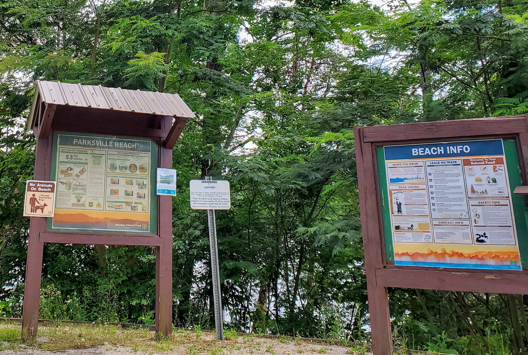 452199731_980177353885038_4404159525710963012_n