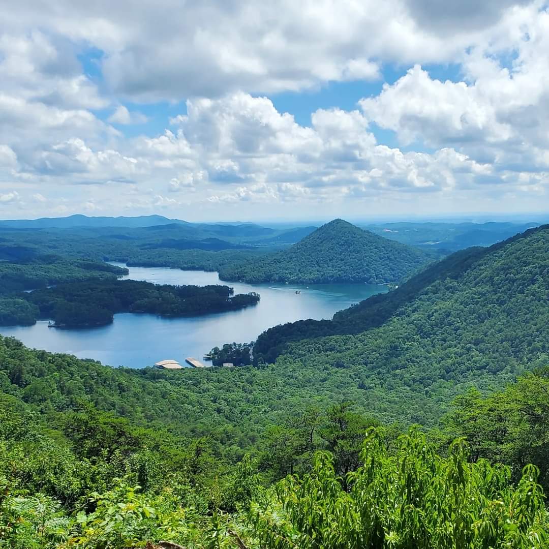 FB_IMG_1721610774971