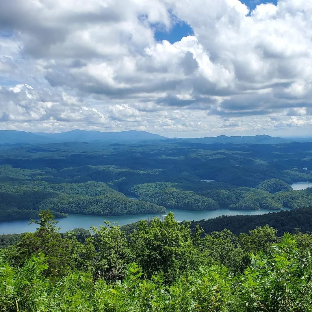 FB_IMG_1721610779951