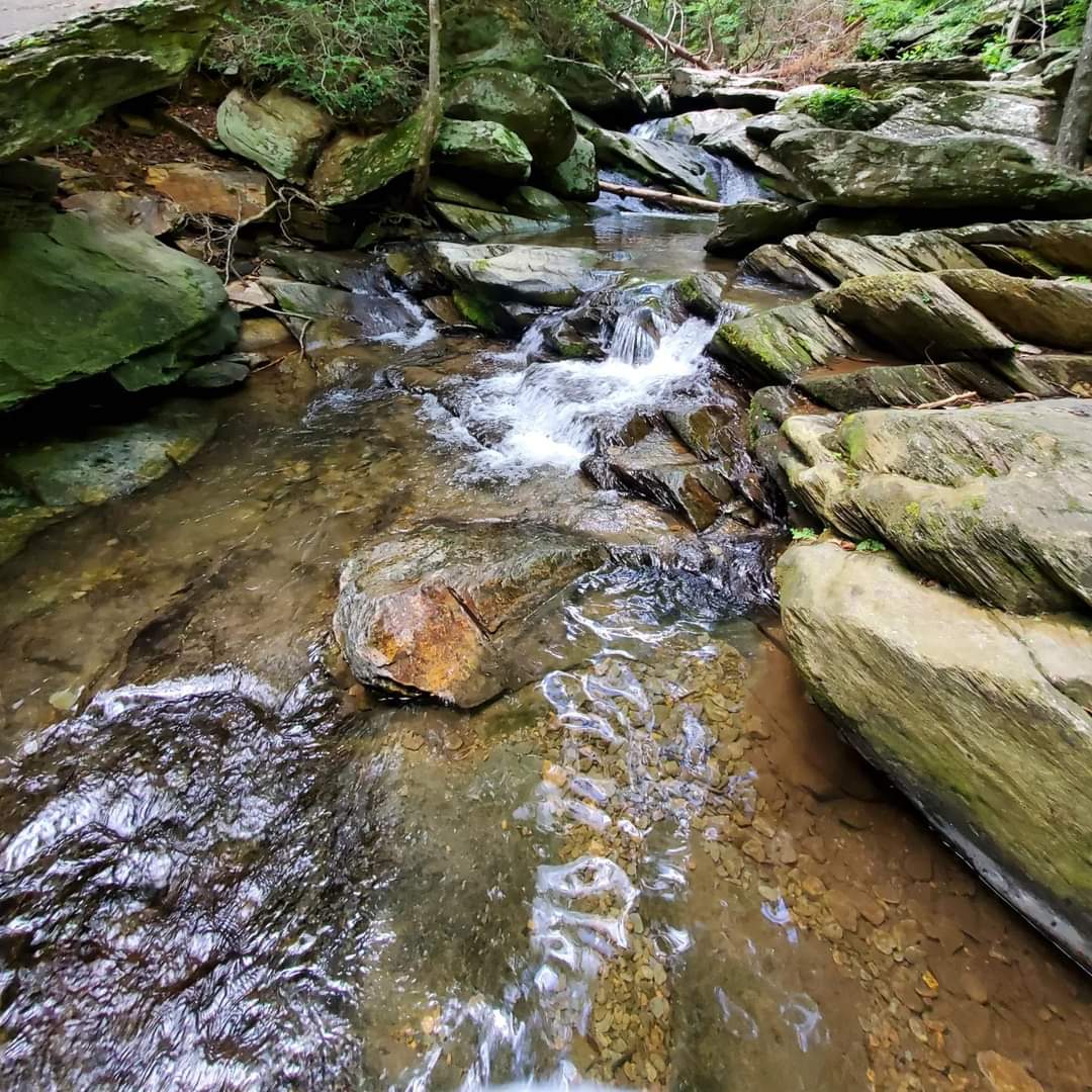 FB_IMG_1721610787652