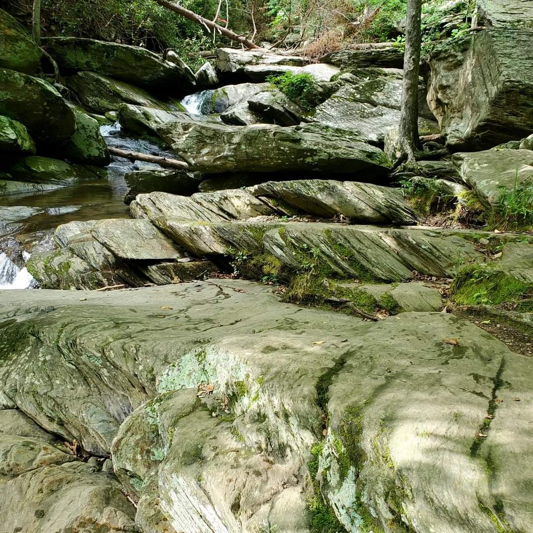 FB_IMG_1721610789962