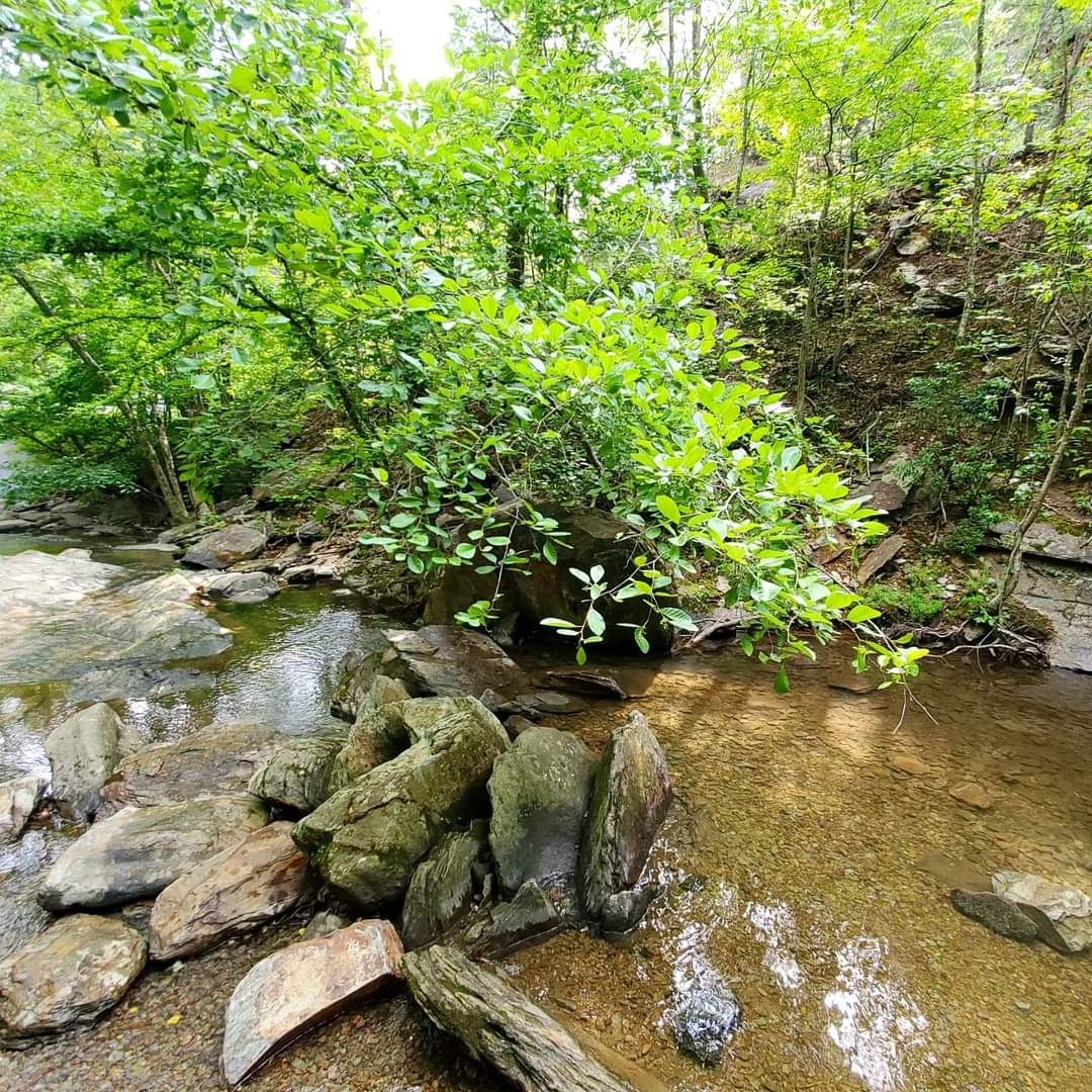 FB_IMG_1721610794602