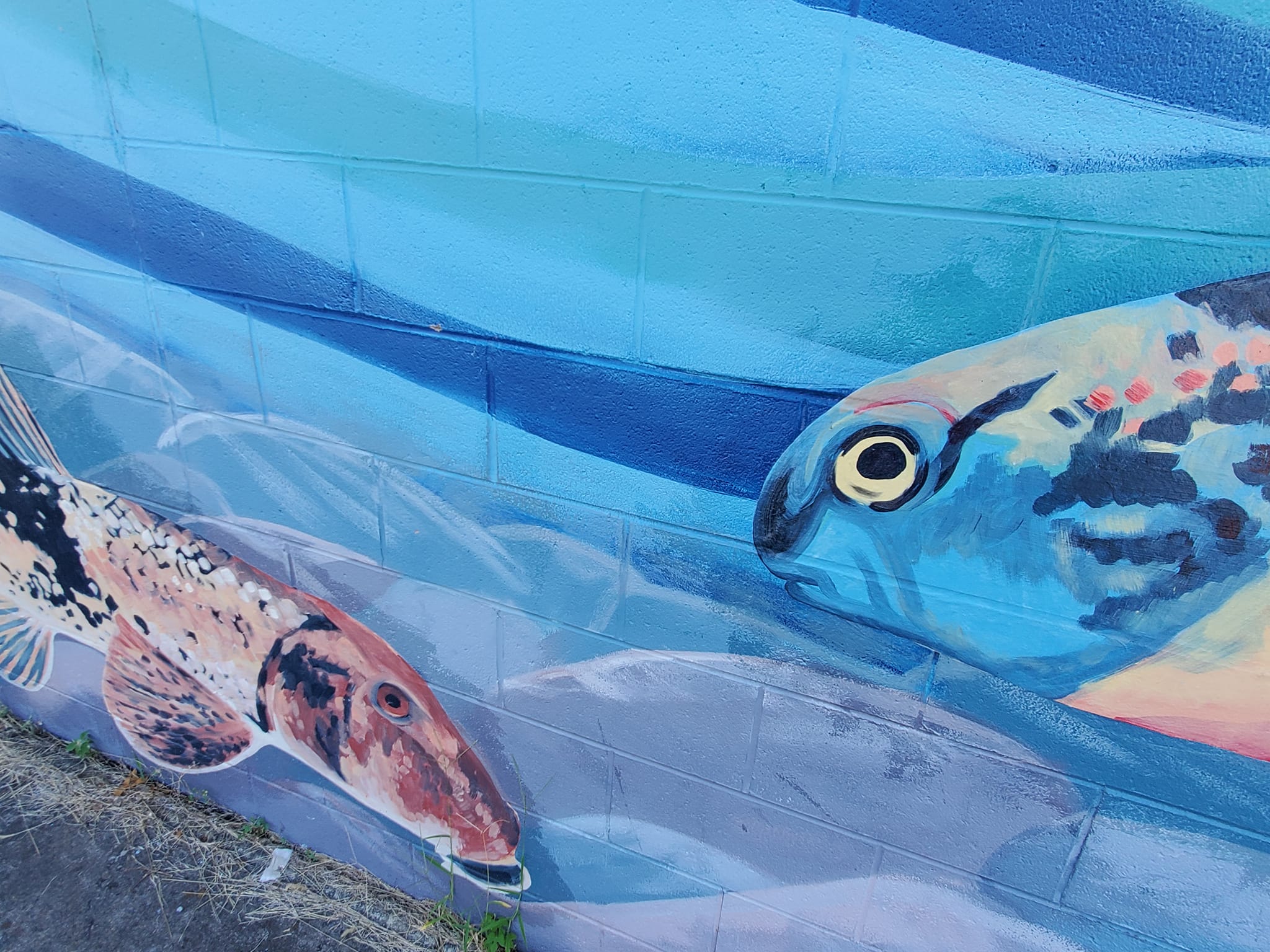 456818747_1002269668342473_3811590626445005693_n