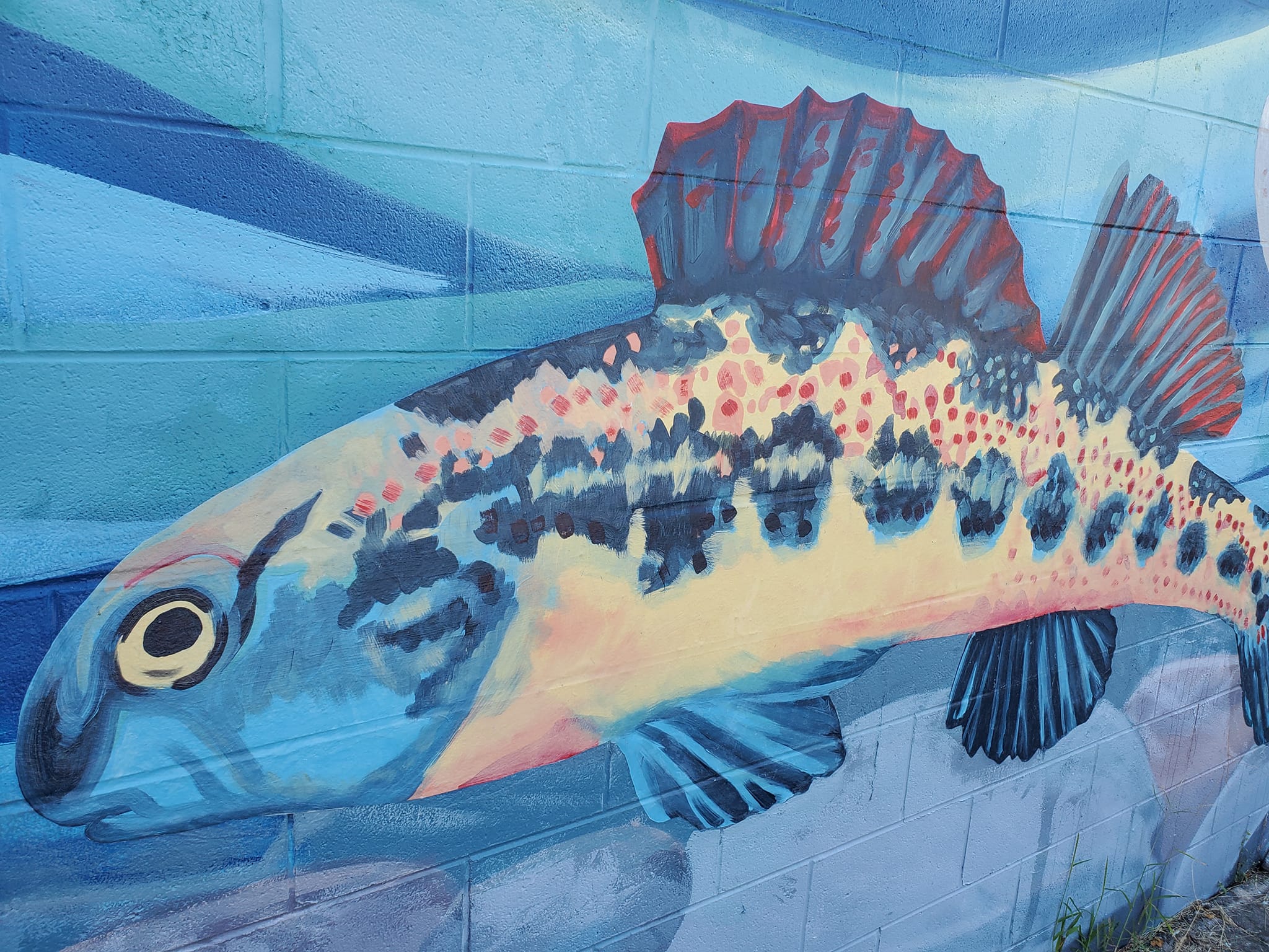 457095723_1002269631675810_7362581335225366659_n