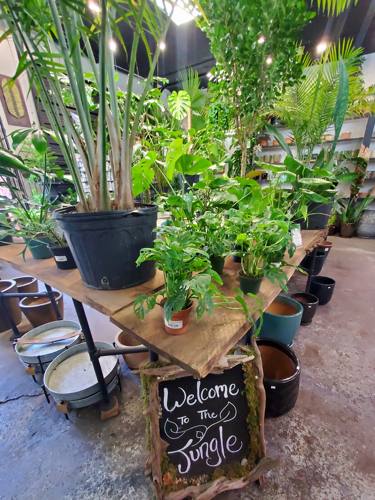 459012982_1011619237407516_8268854003851927867_n