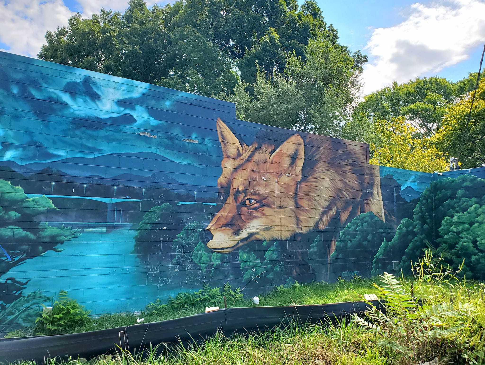 459085457_1011620357407404_5115639510450343780_n