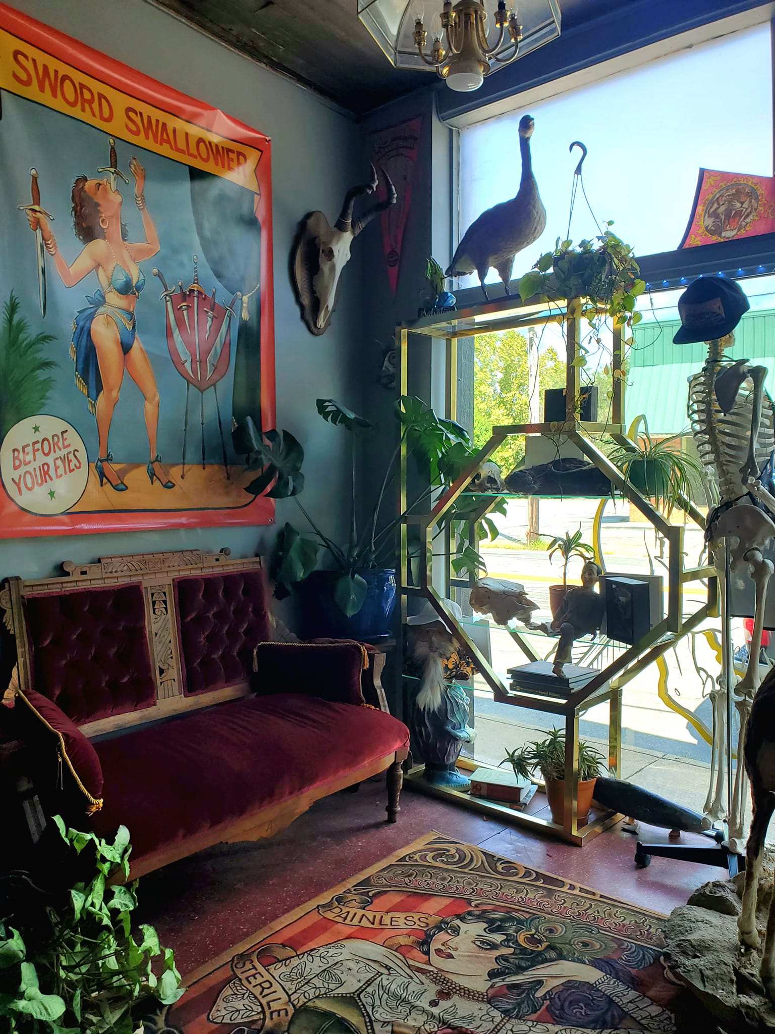 459114125_1011620160740757_6828505482631348334_n