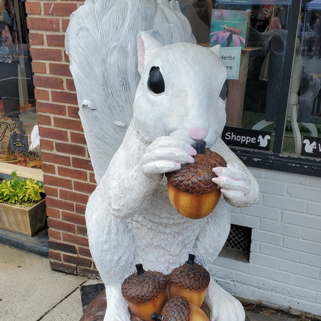 Brevard: Driving Through Transylvania County to Find the Elusive White&nbsp;Squirrel