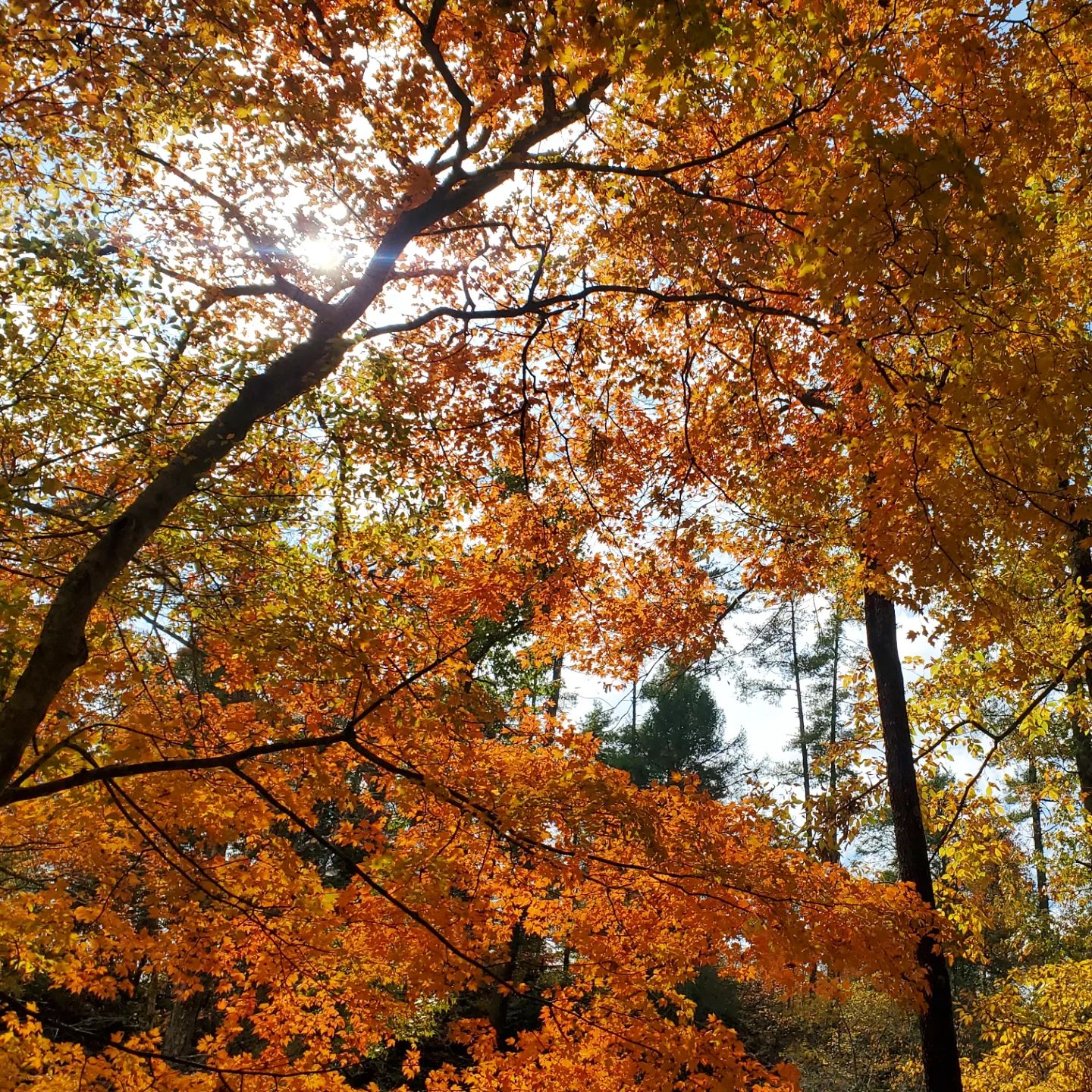 464471007_18474241426020356_1946095383947458399_n