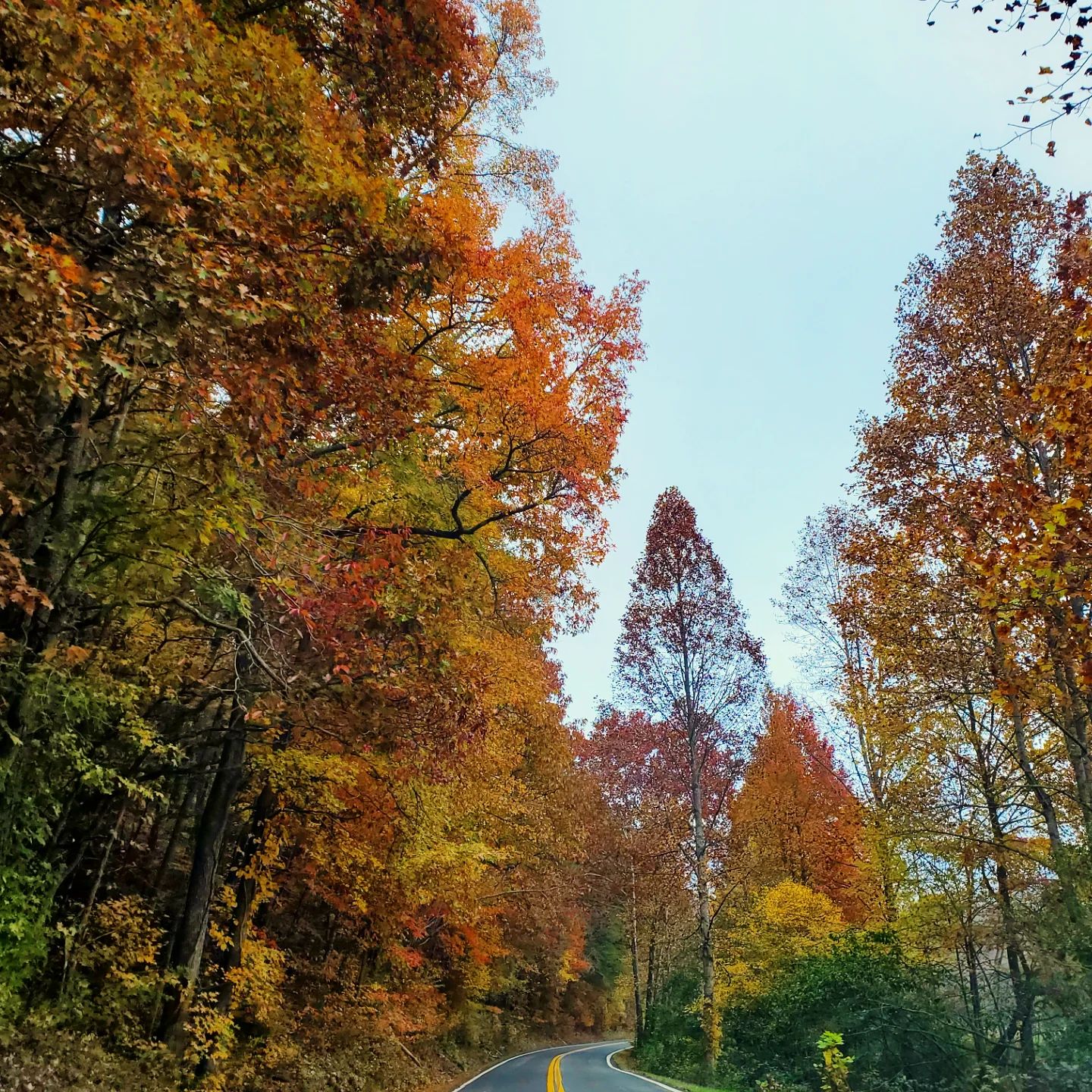 464715374_18474241405020356_830239576557769401_n