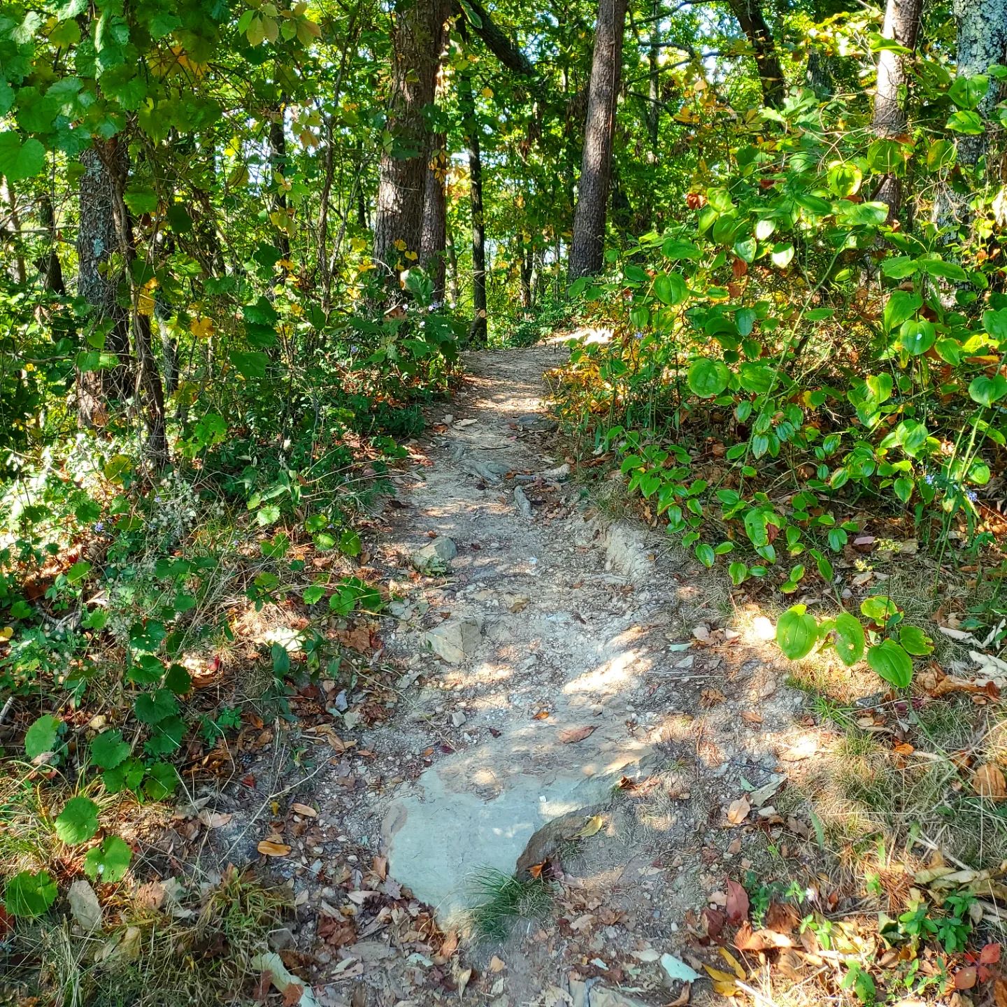 464976218_18474241453020356_4528414396611546753_n