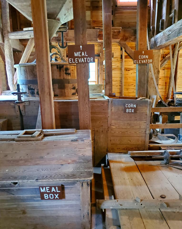 356226436_755148776387898_8750454182165495577_n