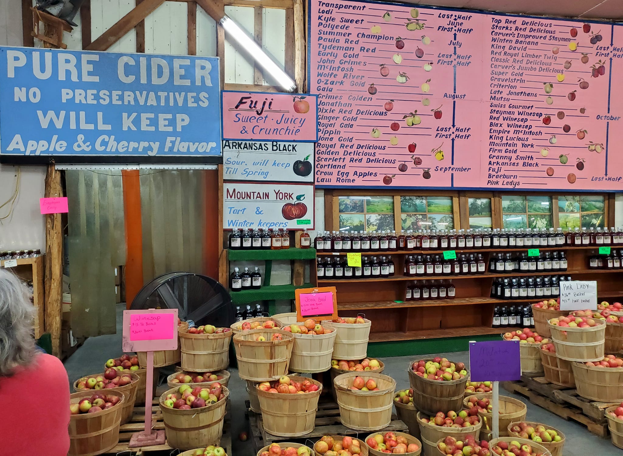 465222374_1056860302883409_6771078912204058327_n