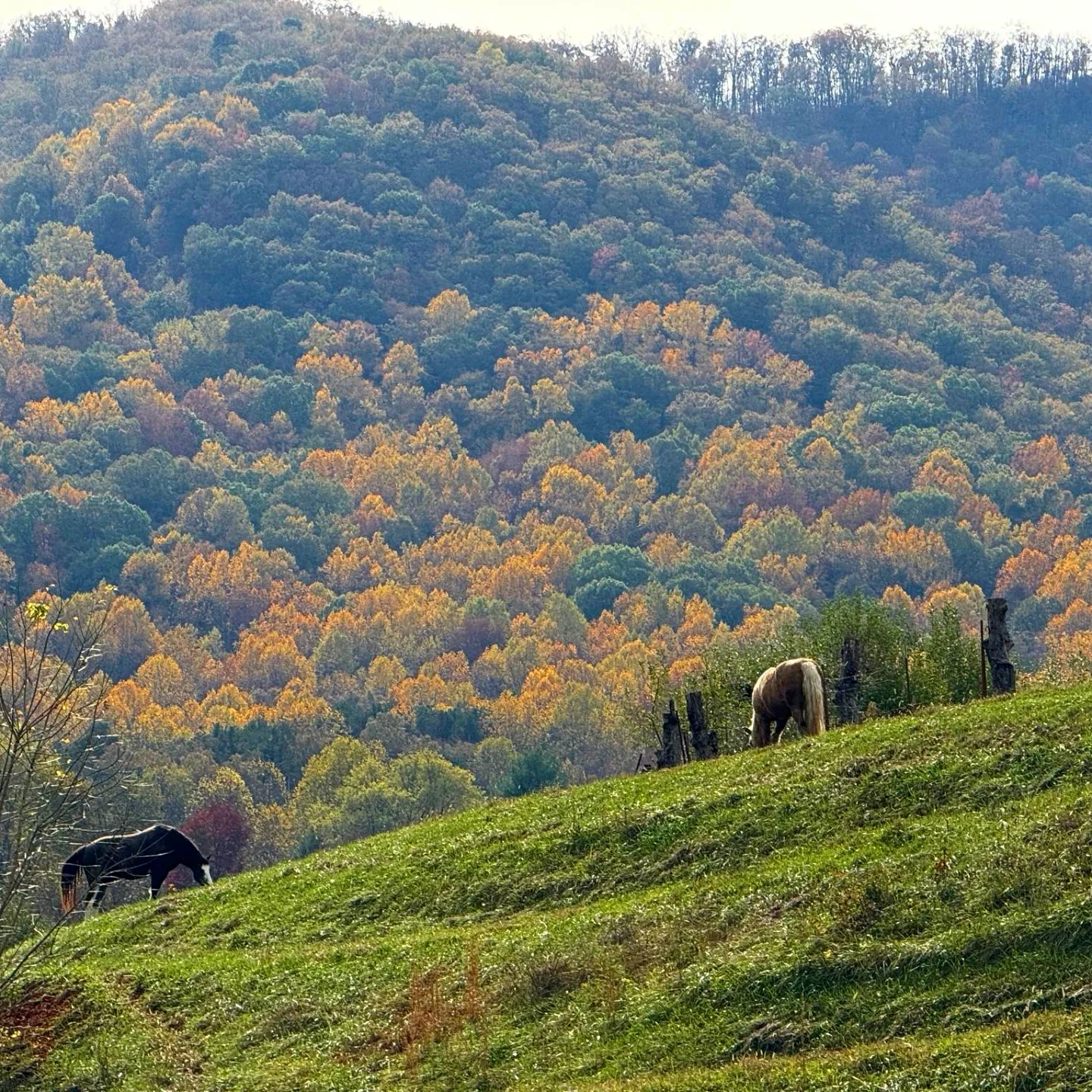 465553257_1056877482881691_1768320760533437535_n