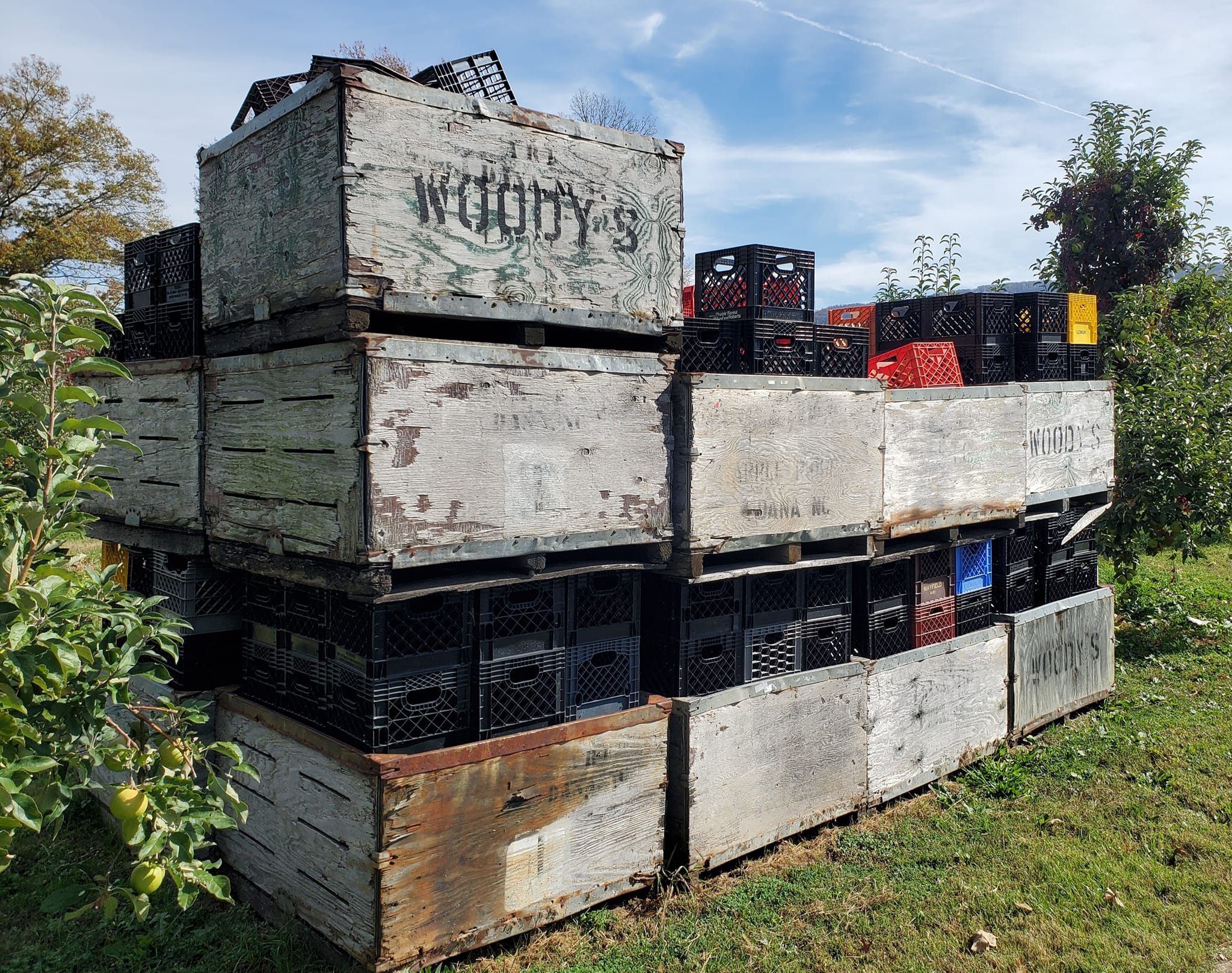 465578792_1056859816216791_2819131933018838126_n