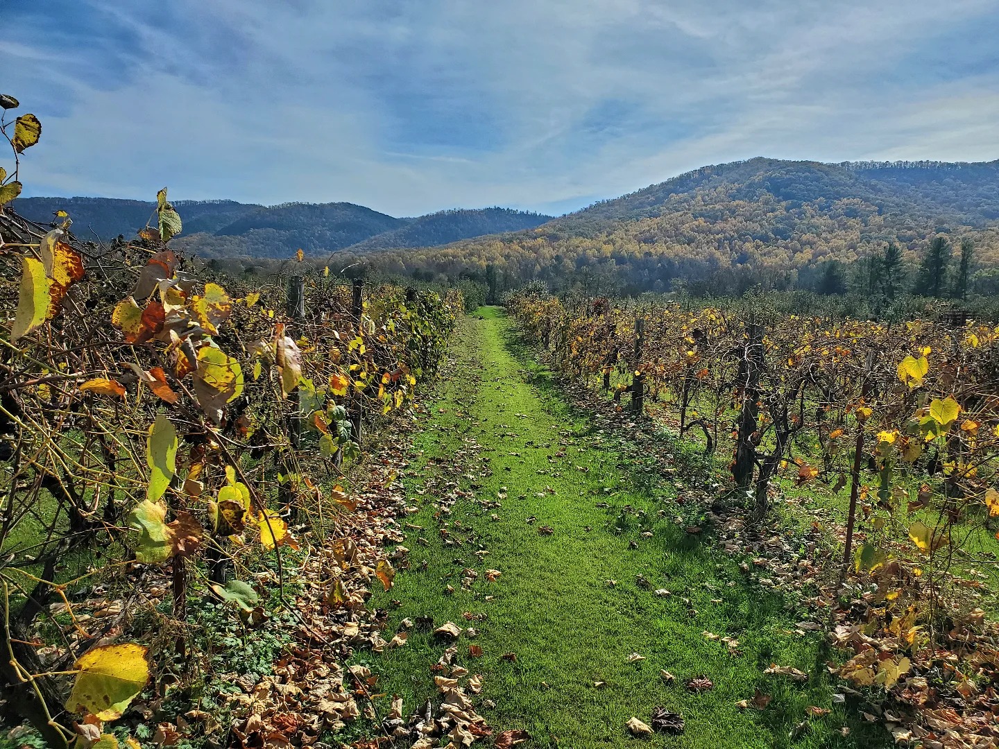 466042773_1056278469608259_6531000518279133190_n