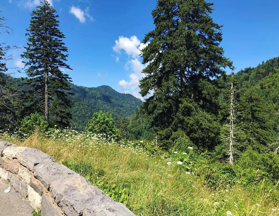 The Blue Ridge Parkway Part 2: The Pisgah Region & Pisgah National Forest