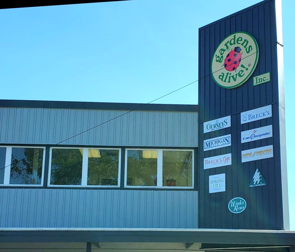 Screenshot_20241212-143545_Gmail