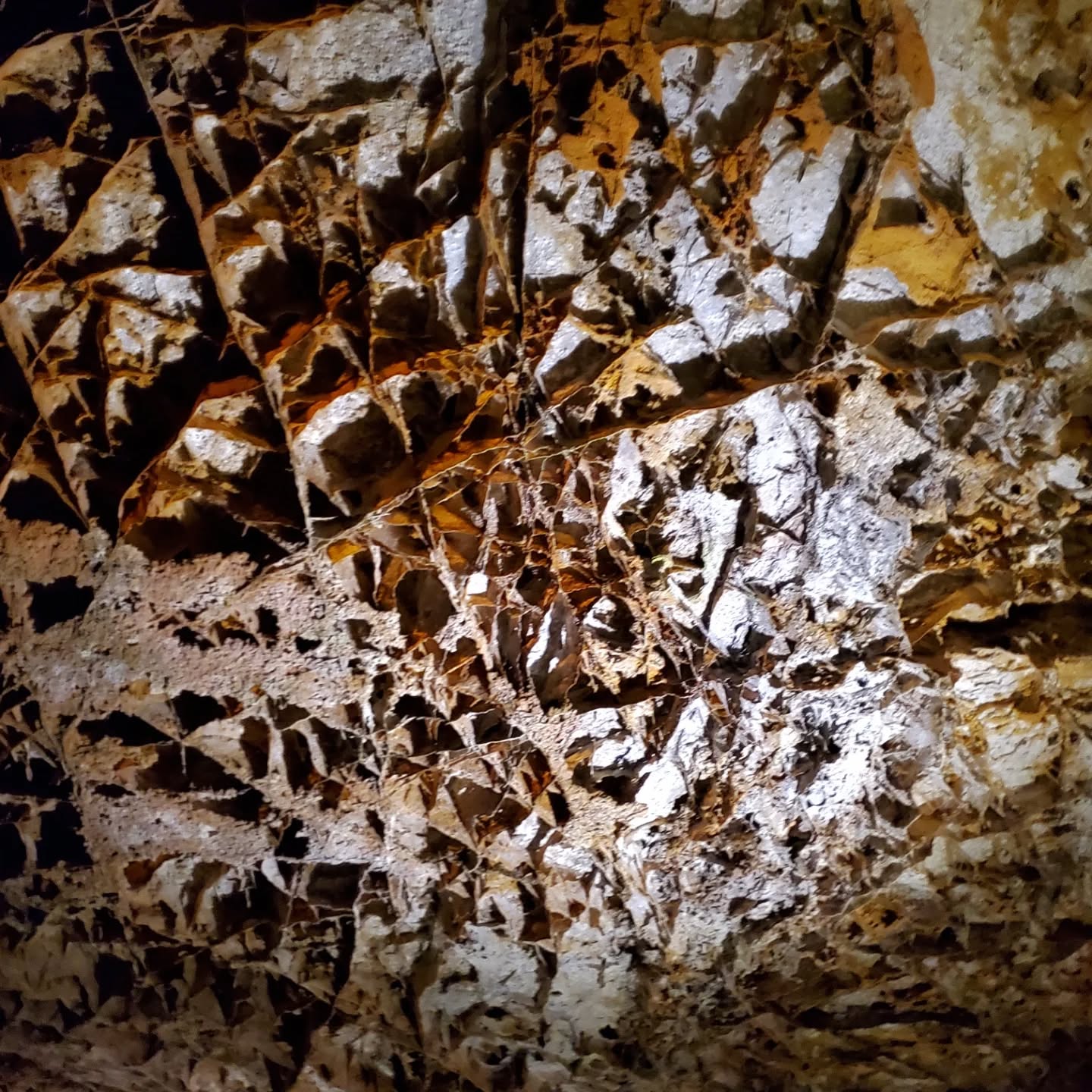 Wind Cave National Park, Battle for the Black Hills, & The Lakota Emergence Story
