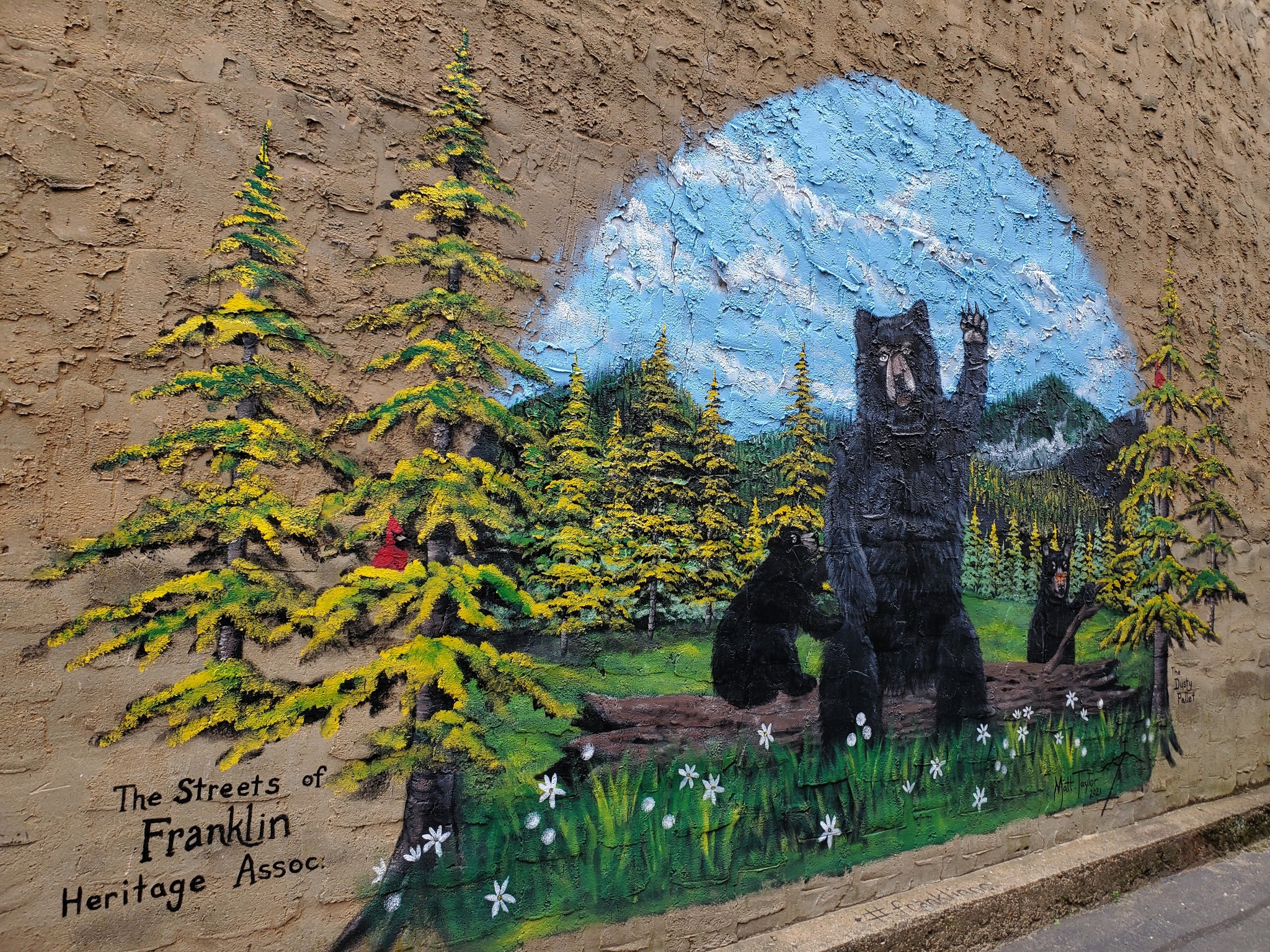 Franklin, NC: Scottish Tartans, Appalachian Women, & The American House Cat