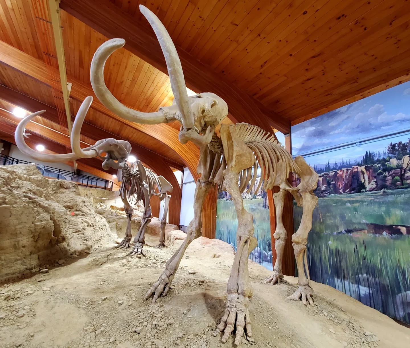 Bones, Stones, & Mineral Springs: A Short Stop in Hot Springs