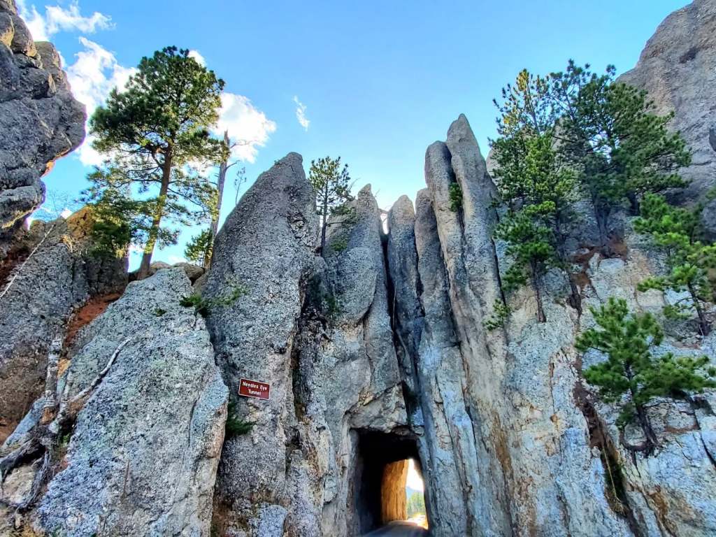 South Dakota’s Custer State Park & the Crown Jewel of the Black&nbsp;Hills