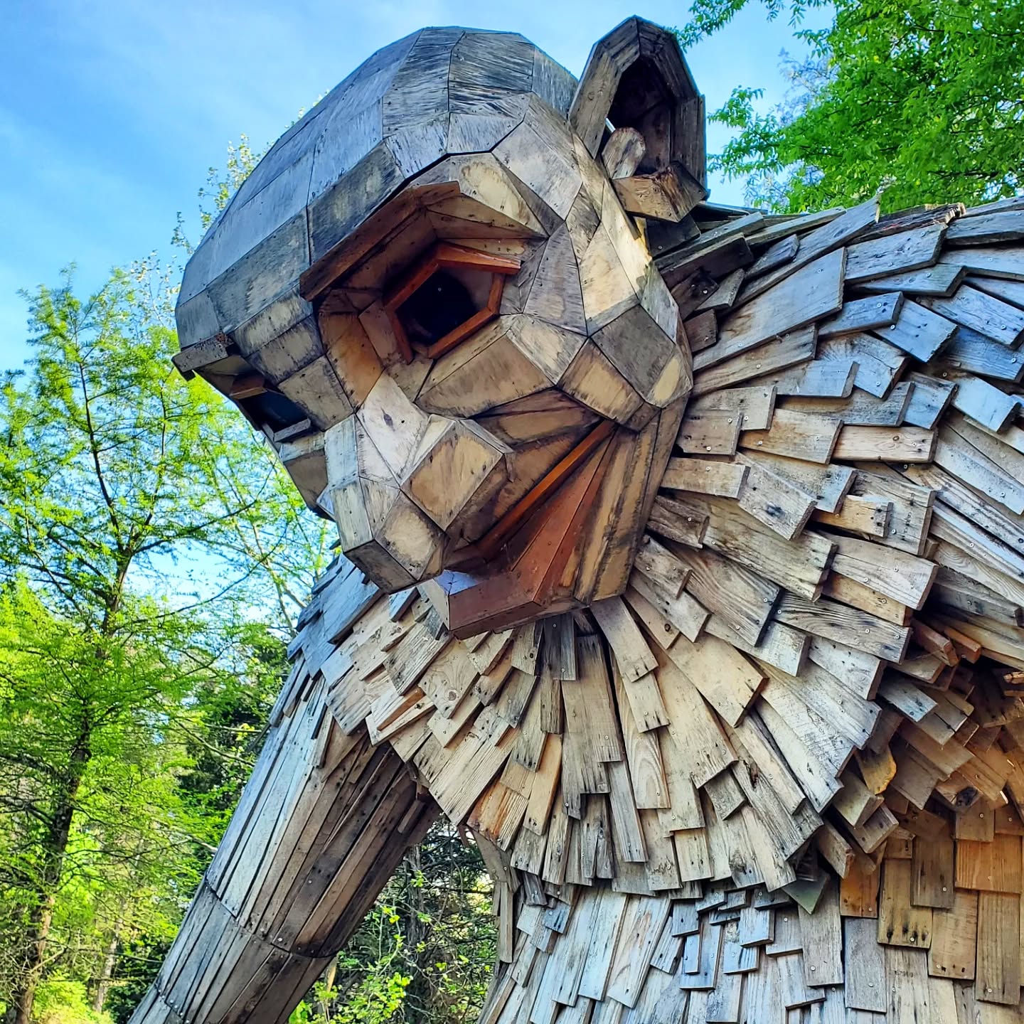 Bernheim Forest: A Magickal Picnic with Giants
