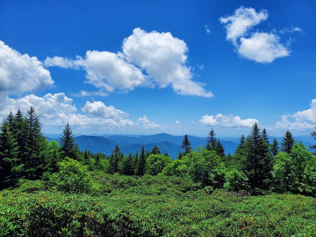 Roan Mountain State Park, The Rhododendron Gardens, & Carver’s Gap