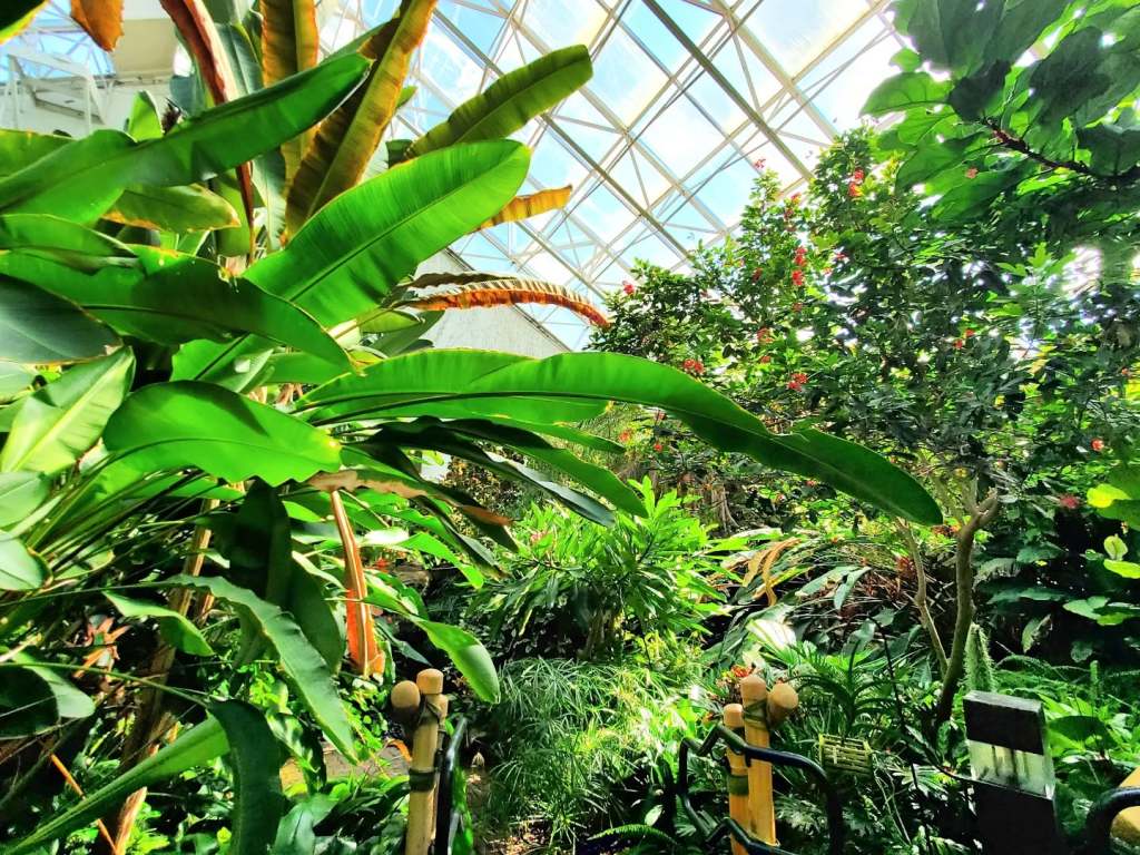 Fort Wayne Sidequest: Foellinger-Freimann Botanical Conservatory, Promenade Park, & The Grave of Johnny Appleseed