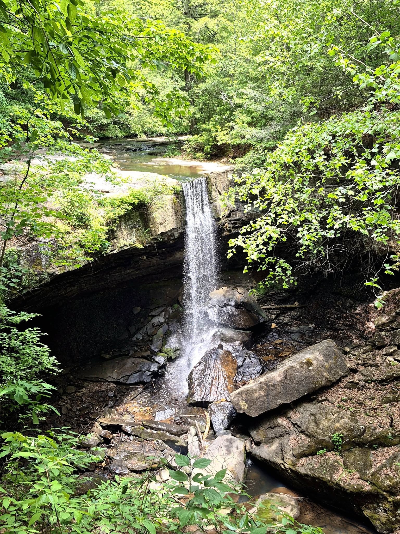 Sequatchie Valley Scenic Byway Highlights: Fiery Gizzard, Savage Gulf, & Hogwarts of the South